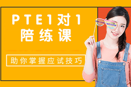 天津PTE1对1陪练课