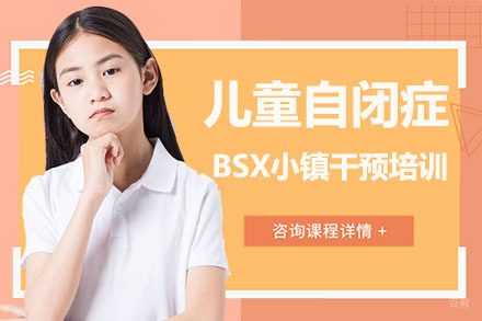 深圳儿童自闭症BSX小镇干预培训