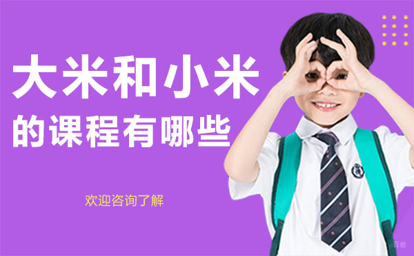 深圳大米和小米的课程有哪些