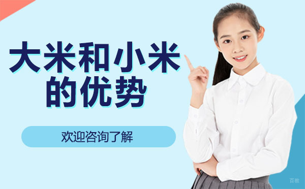深圳大米和小米的优势