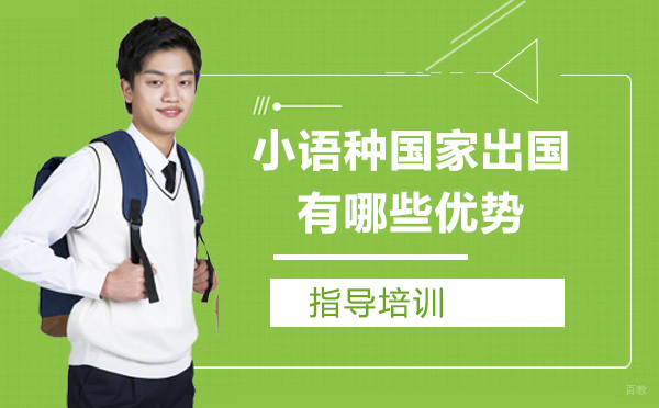 小语种国家留学有哪些优势？