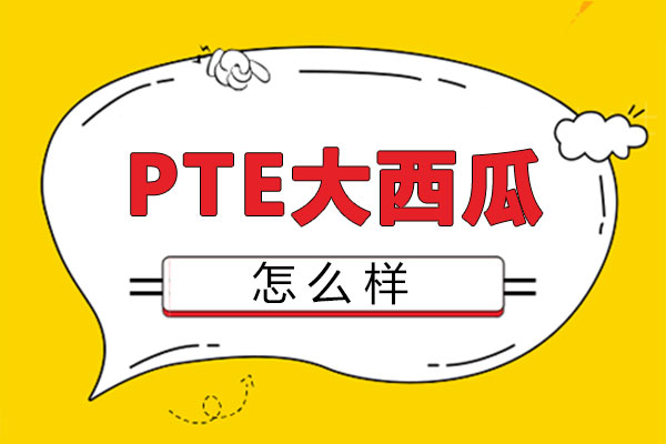 鄭州PTE大西瓜怎么樣