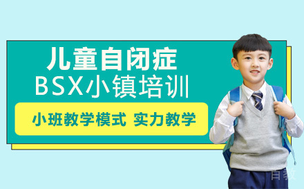 长沙儿童自闭症BSX小镇培训班