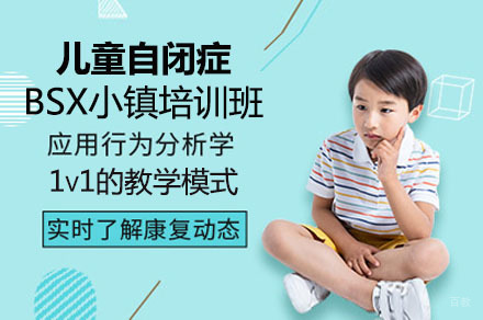 成都儿童自闭症BSX小镇培训班