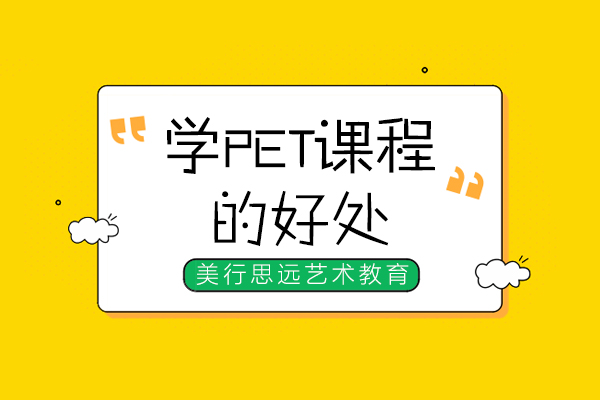 南宁学PET课程的好处