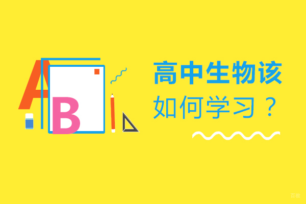 高中生物该如何学习？