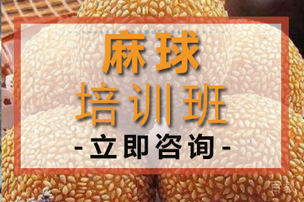 麻球培训班