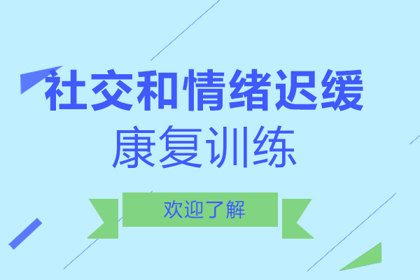 注意社交和情緒遲緩