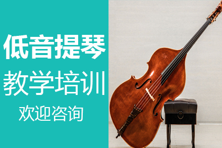 郑州在线低音提琴教学培训