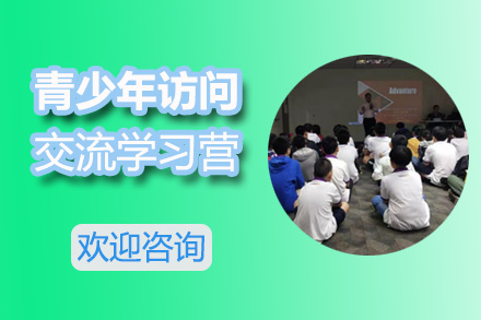 “新马双城”青少年访问交流学习营