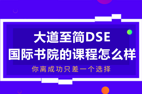 深圳大道至简DSE国际书院的课程怎么样