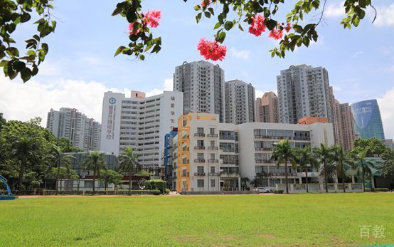 学校大概