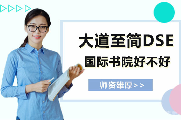深圳大道至简DSE国际书院好不好