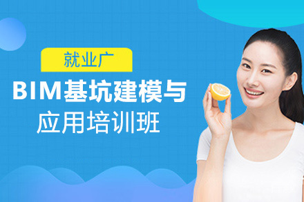 昆明BIM基坑建模与应用培训班