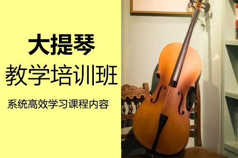 郑州在线大提琴教学培训班