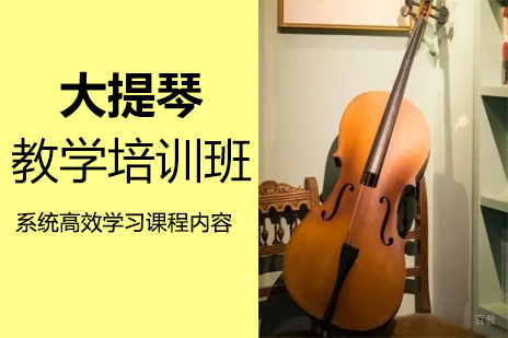 郑州在线大提琴教学培训班