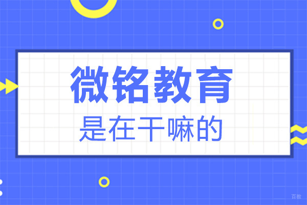 福州兴趣爱好-福州微铭教育是在干嘛的