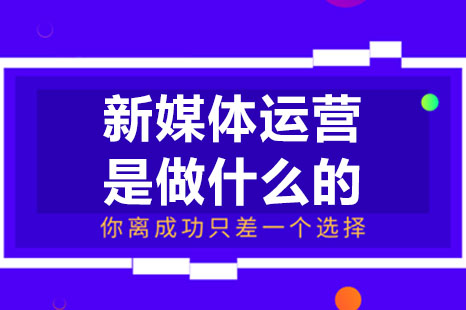 新媒体运营是做什么的-深圳金蛛教育