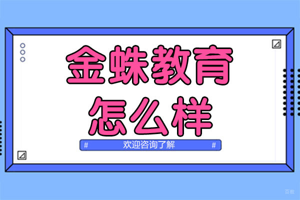 深圳金蛛教育怎么样