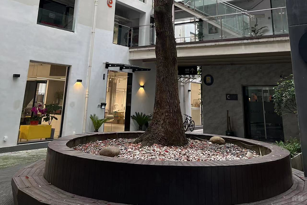 上海峰树教育校园环境