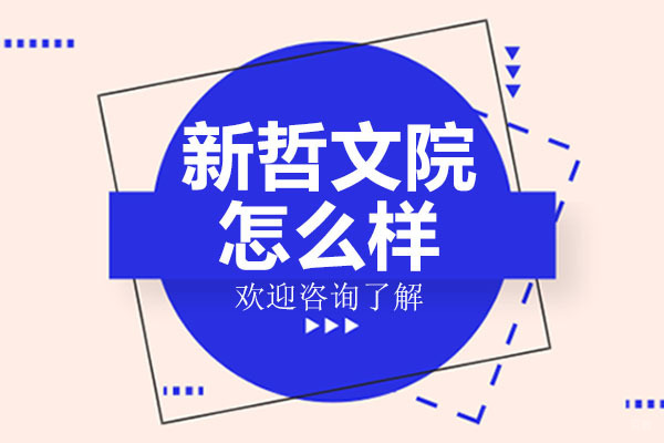 深圳新哲文院怎么样