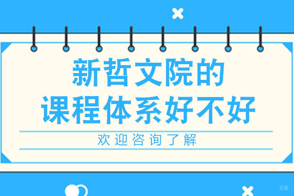 深圳新哲文院的课程体系好不好