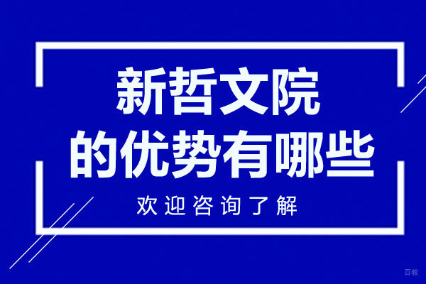 深圳新哲文院的优势有哪些