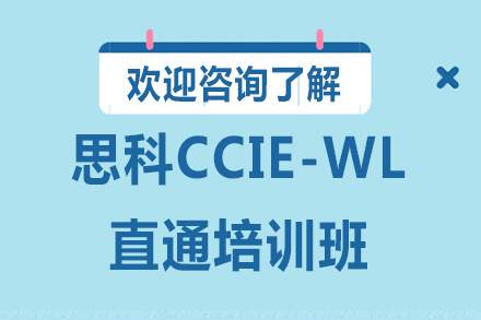 广州编程思科CCIE-WL直通培训班
