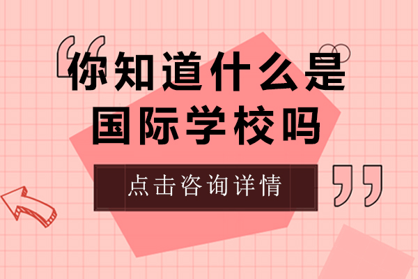 国际学校全维度解读：招生规则、学籍学历与选择要点