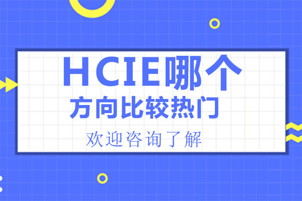广州编程-HCIE哪个方向比较热门-华尔思网络实验室