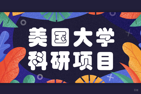 美国大学科研项目