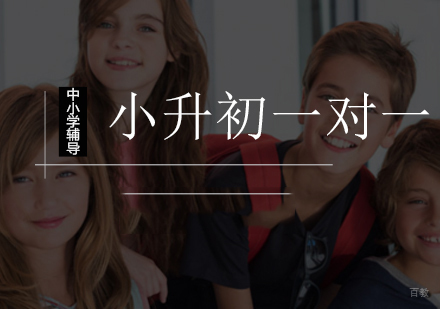北京小升初一对一辅导班