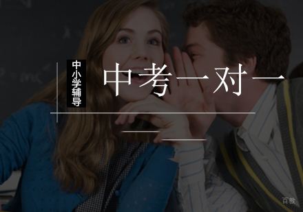 北京中考一对一辅导班