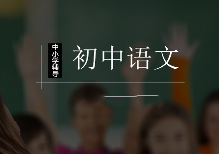 北京初中辅导初中语文一对一辅导课程