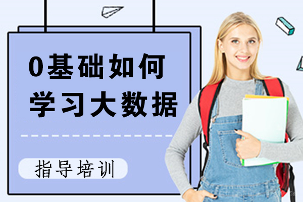 0基础如何学习大数据