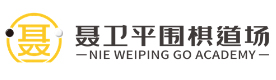 上海聂卫平少儿围棋学校