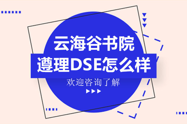 深圳云海谷书院遵理DSE怎么样
