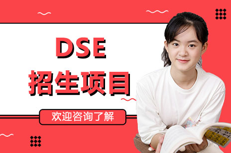 DSE招生项目