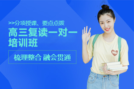 高三复读一对一培训班