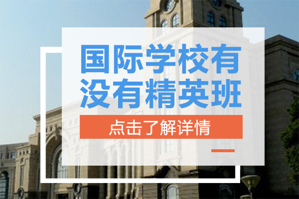 国际学校班级体系深度解析：精英班的存在逻辑与发展启示