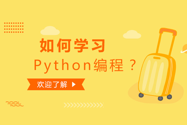 如何學習Python編程？