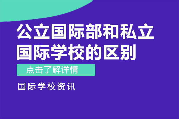 公立国际部与私立国际学校深度对比：从招生到教学的核心差异解析