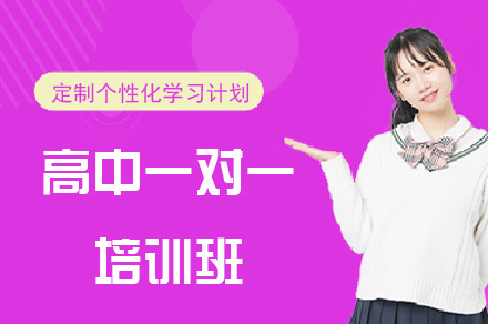 重庆重庆高中一对一培训班