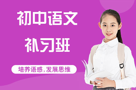 重庆重庆初中语文补习班