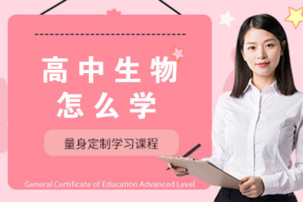 高中生物怎么学？