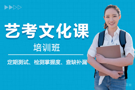 沈阳艺考文化课培训