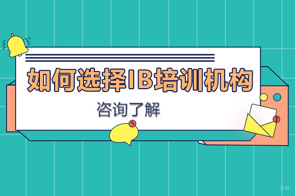 如何选择IB培训机构
