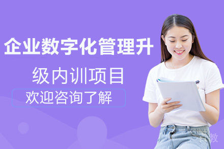 昆明企业数字化管理升级内训项目