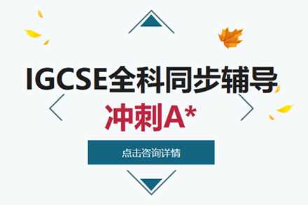 武汉国际课程IGCSE课程辅导