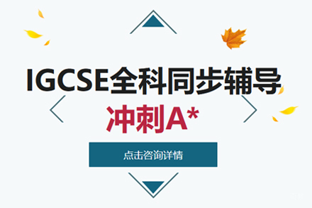 武汉IGCSE课程辅导